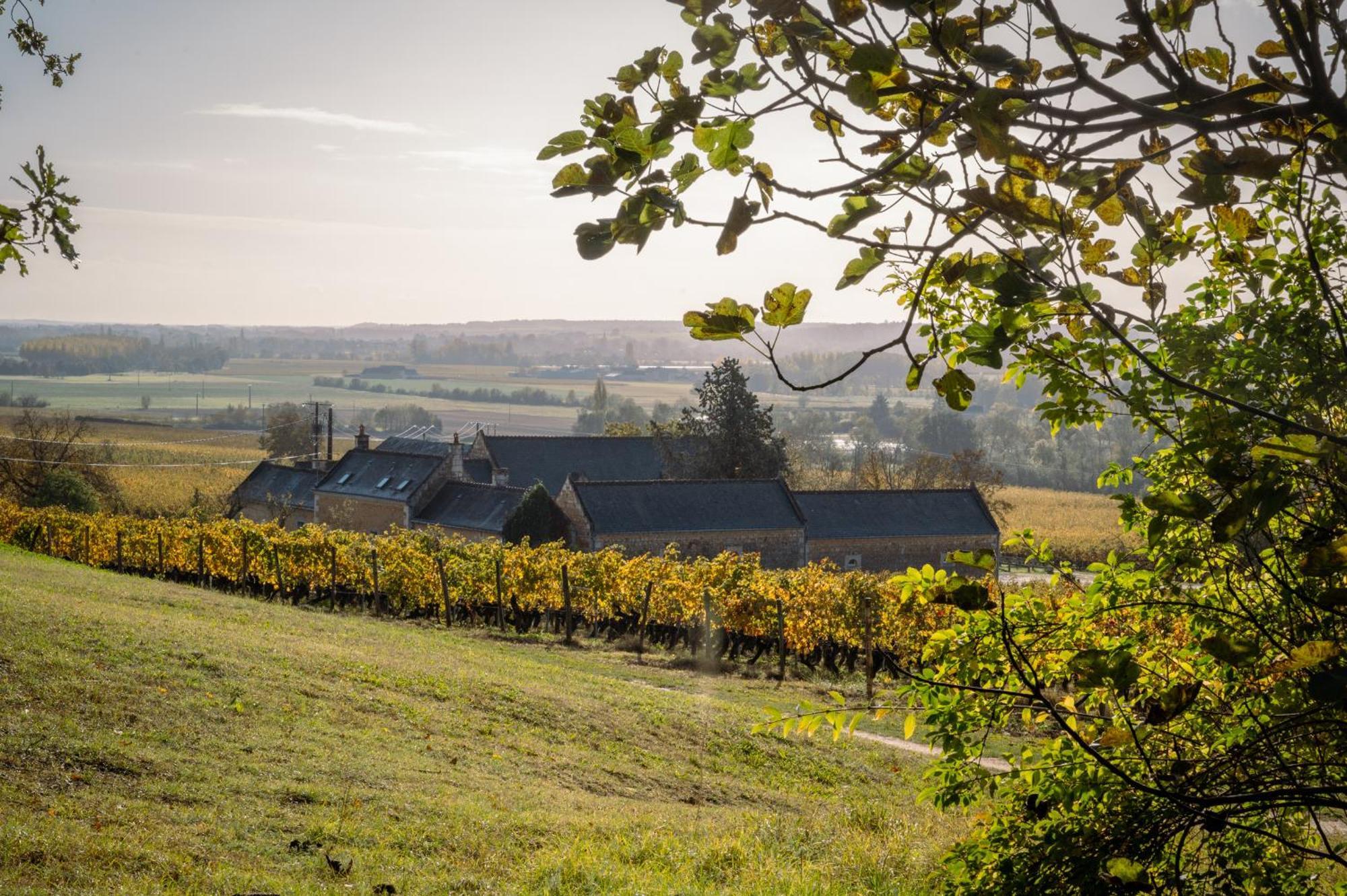 Bed and Breakfast Domaine Beausejour Panzoult Exteriér fotografie