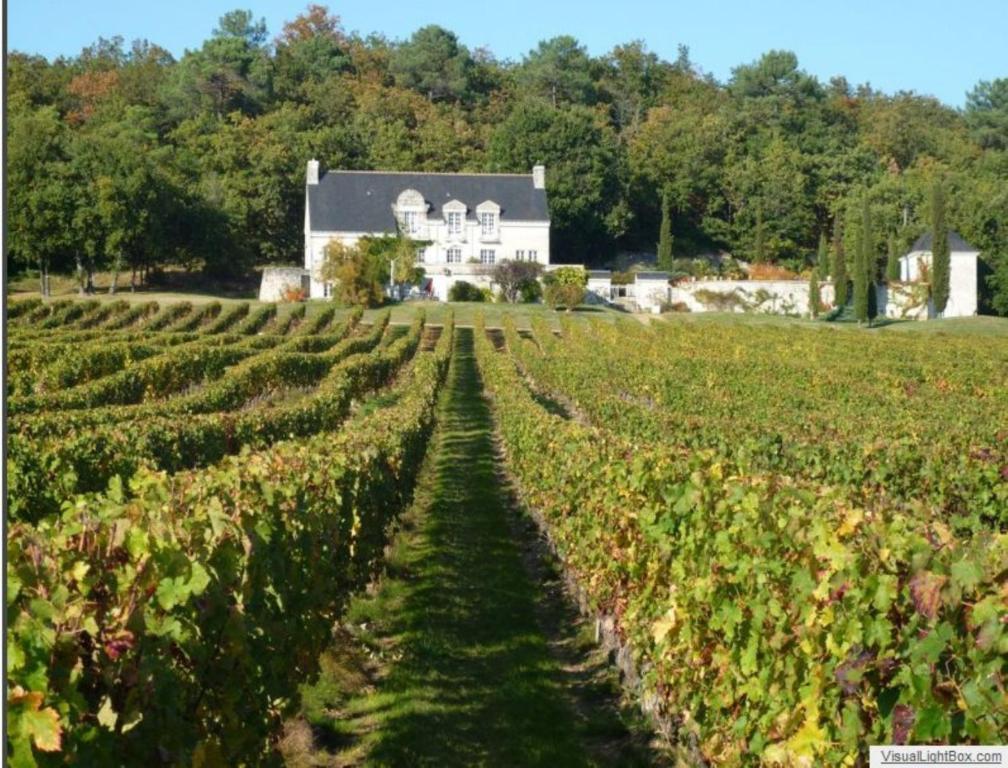 Bed and Breakfast Domaine Beausejour Panzoult Exteriér fotografie